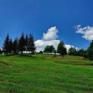 skornov-grun-korna_19_original