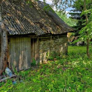 skornov-grun-korna_1_original