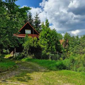 skornov-grun-korna_21_original