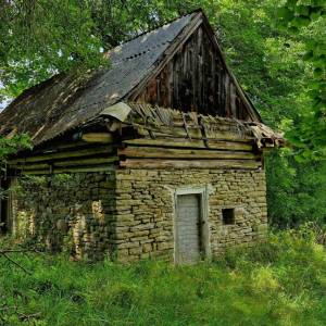 skornov-grun-korna_22_original