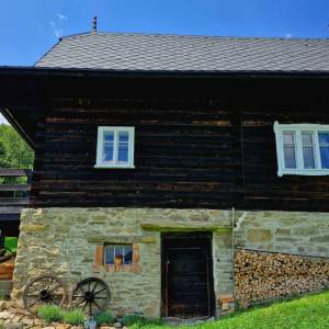 skornov-grun-korna_23_original