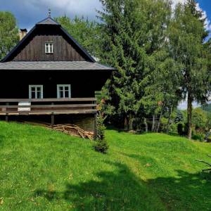 skornov-grun-korna_25_original