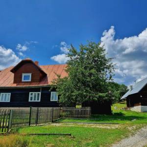 skornov-grun-korna_26_original