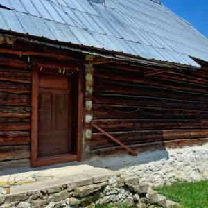 skornov-grun-korna_27_original