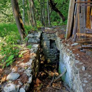 skornov-grun-korna_28_original