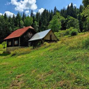 skornov-grun-korna_29_original