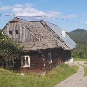 skornov-grun-korna_4_original