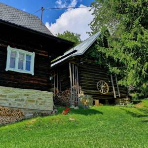skornov-grun-korna_5_original