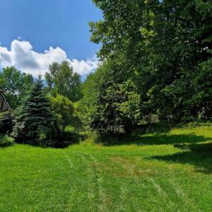 skornov-grun-korna_6_original