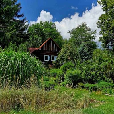 skornov-grun-korna_7_original