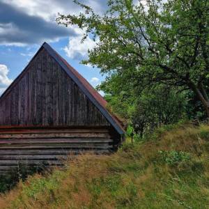 skornov-grun-korna_8_original