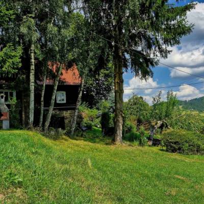 skornov-grun-korna_9_original