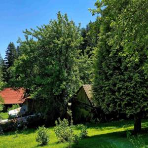 skrabakovci-rakova_14_original
