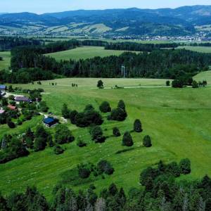 skrabakovci-rakova_16_original