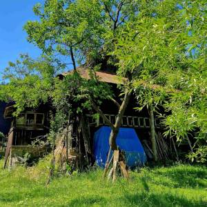 skrabakovci-rakova_22_original