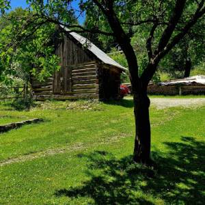 skrabakovci-rakova_23_original