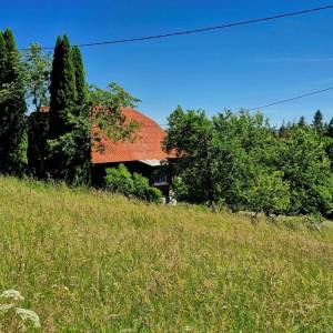skrabakovci-rakova_24_original