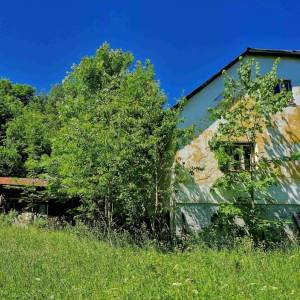 skrabakovci-rakova_7_original