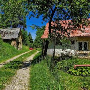 skrabakovci-rakova_8_original