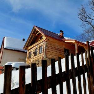 skulavikovci-olesna_10_original