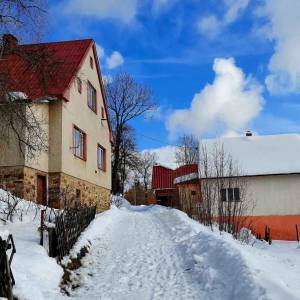 skulavikovci-olesna_1_original