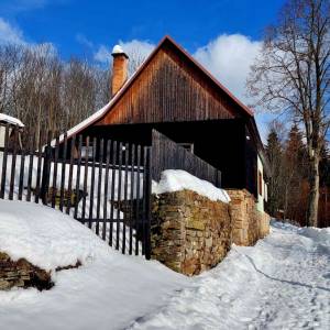 skulavikovci-olesna_6_original