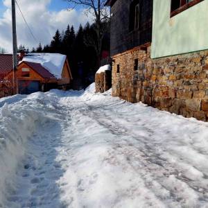 skulavikovci-olesna_8_original