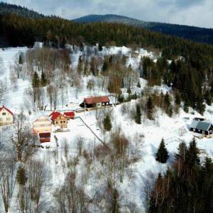 skulavikovci-olesna_9_original