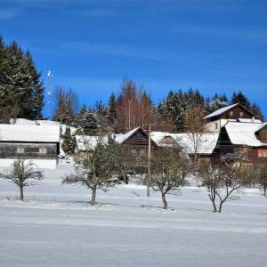 slahorka-korna_4_original