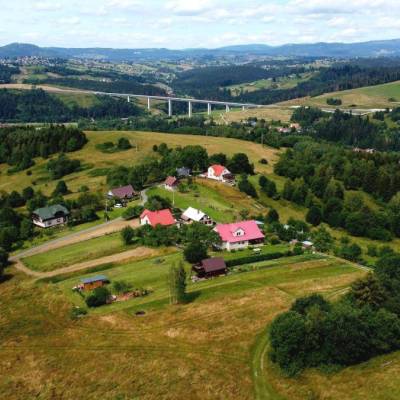 slivkovci-cierne-001_original