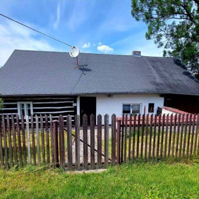 slivkovci-cierne-005_original