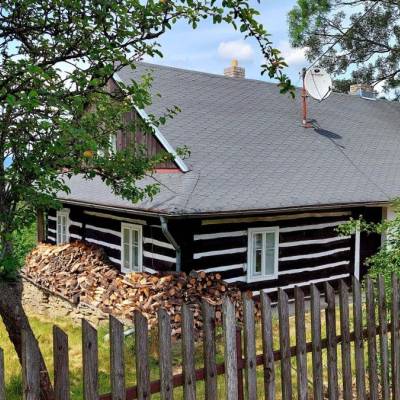 slivkovci-cierne-006_original