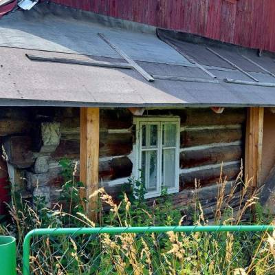 slivkovci-cierne-008_original