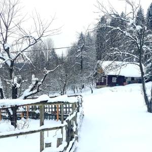 sobkovci-zakopcie_2_original