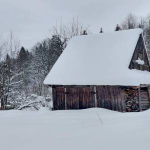 strakovci-zakopcie_2_original