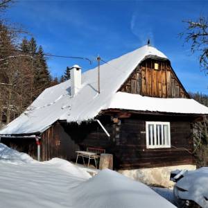 sulcovci-korna_1_original