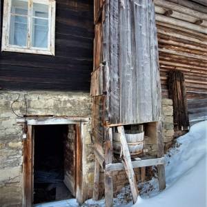 sulcovci-korna_3_original
