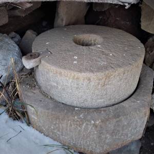 sulcovci-korna_4_original