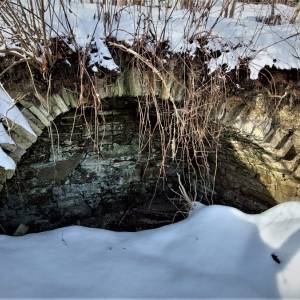 sulcovci-korna_5_original
