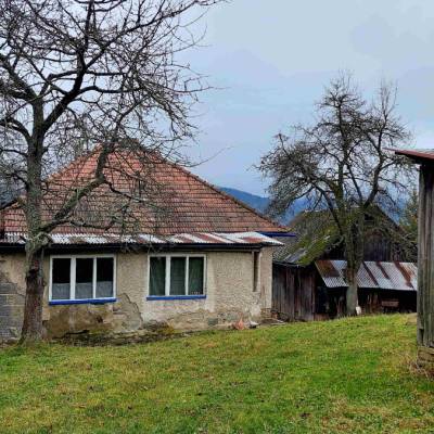 surabovci-krasno-nad-kysucou_2_original