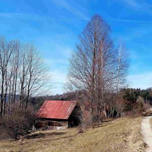 trnkovci-zakopcie__14_original