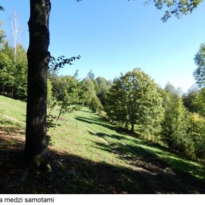 osada-u-jurosi-cadca-medzi-samotami_1_original