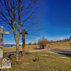 u-kvietka-ochodnica_10_original