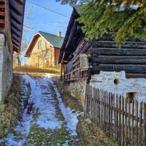 u-kvietka-ochodnica_12_original
