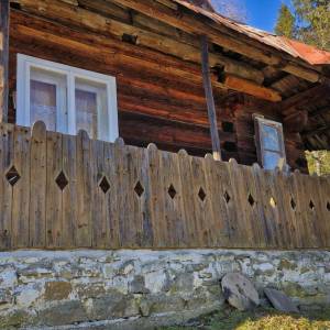 u-kvietka-ochodnica_13_original