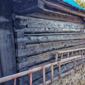 u-kvietka-ochodnica_18_original