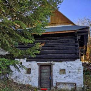 u-kvietka-ochodnica_19_original