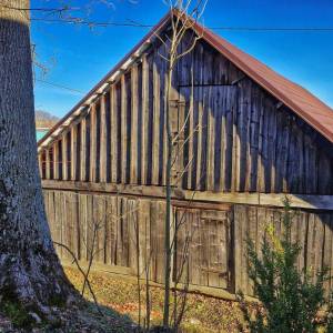 u-kvietka-ochodnica_20_original