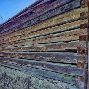 u-kvietka-ochodnica_22_original
