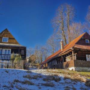 u-kvietka-ochodnica_25_original